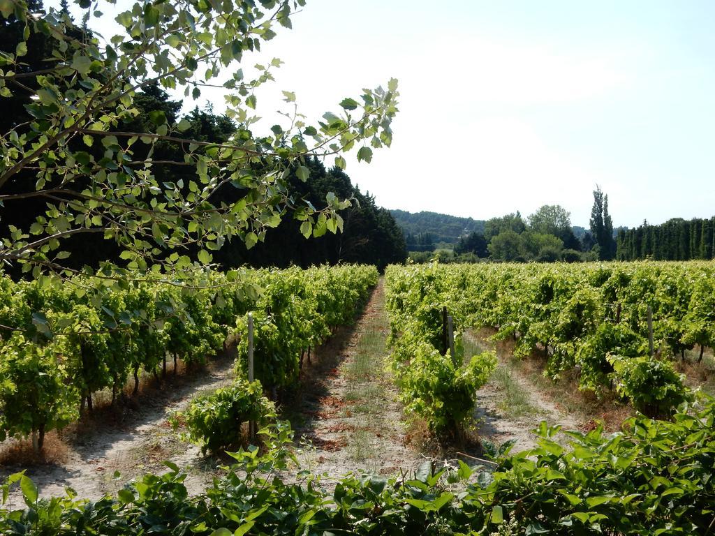 Domaine De Blanche Fleur 호텔 Châteauneuf-de-Gadagne 외부 사진